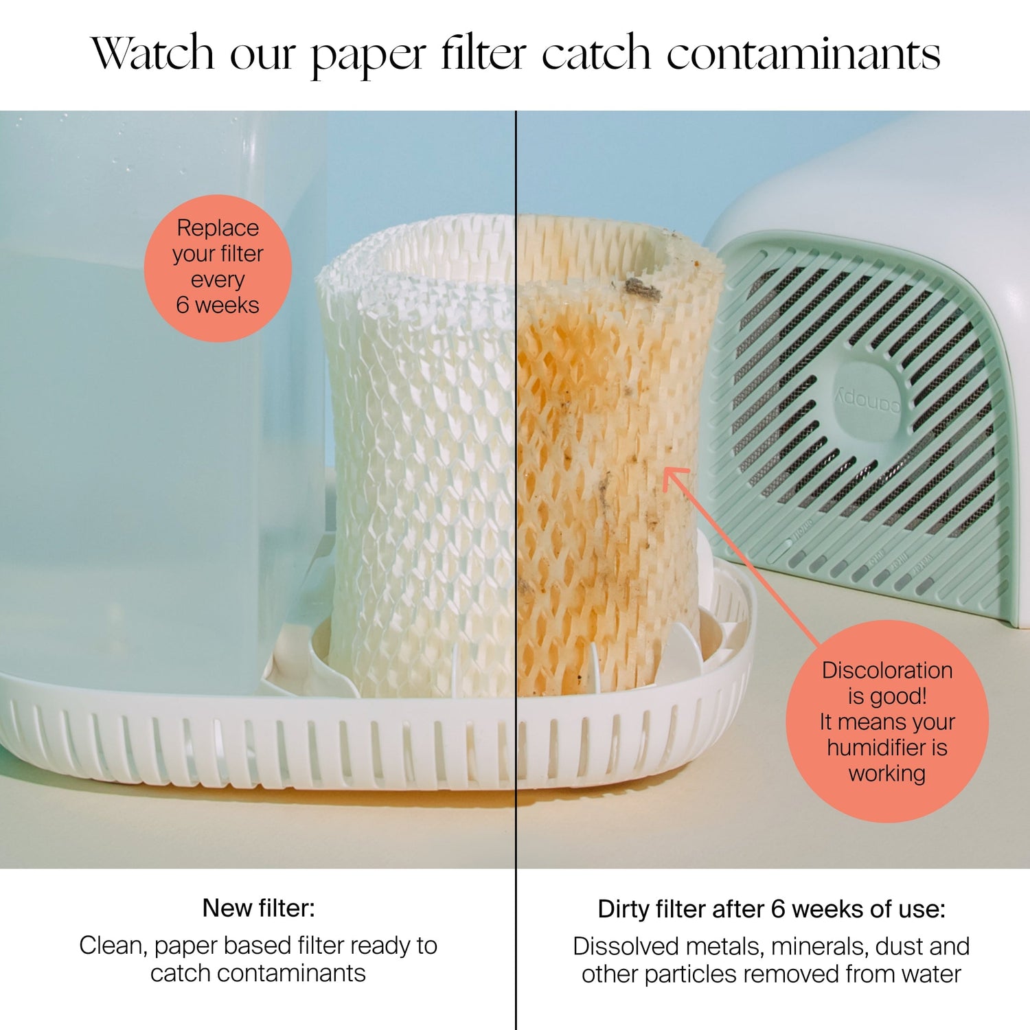 Bedside Humidifier Duo | Lifestyle, Watch our paper filter catch contaminants