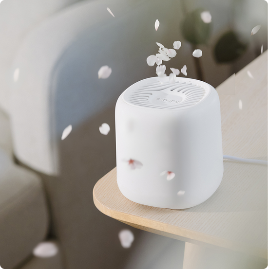 Can Diffusers Canopy Diffuser | Aroma Diffuser - Essential Oil Diffuser