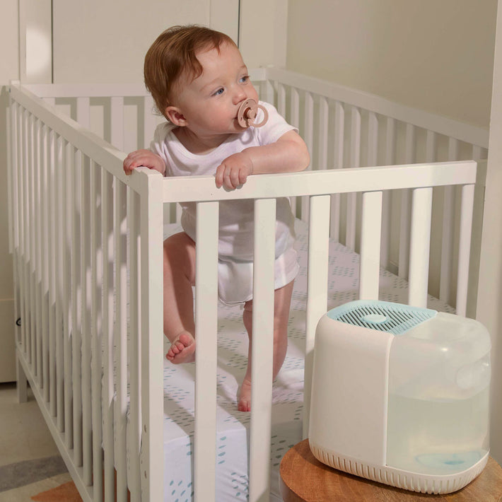 Little Dreams by Canopy | Best Humidifier for Babies - Aroma Diffuser