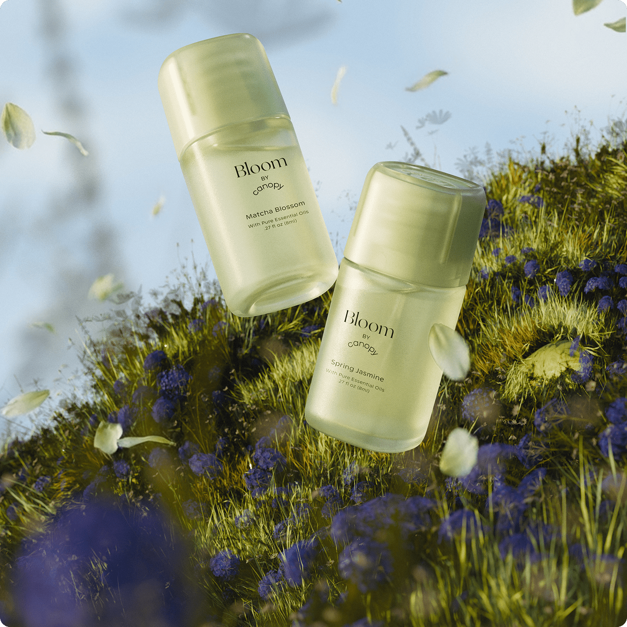 Bloom Aroma Kit