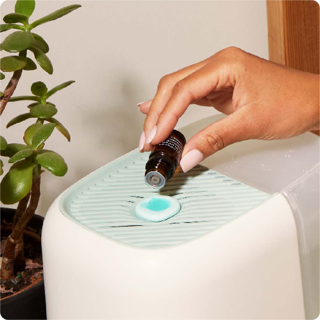 Canopy Humidifier | Best Humidifier for Dry Skin - Smart Humidifier