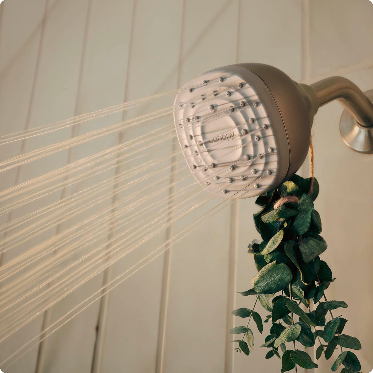 Diffuser Canopy Canopy | Humidifiers, Shower Heads & Diffusers for Beauty & Wellness