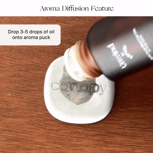 Portable Humidifier Duo | Lifestyle, Aroma Diffusion Feature