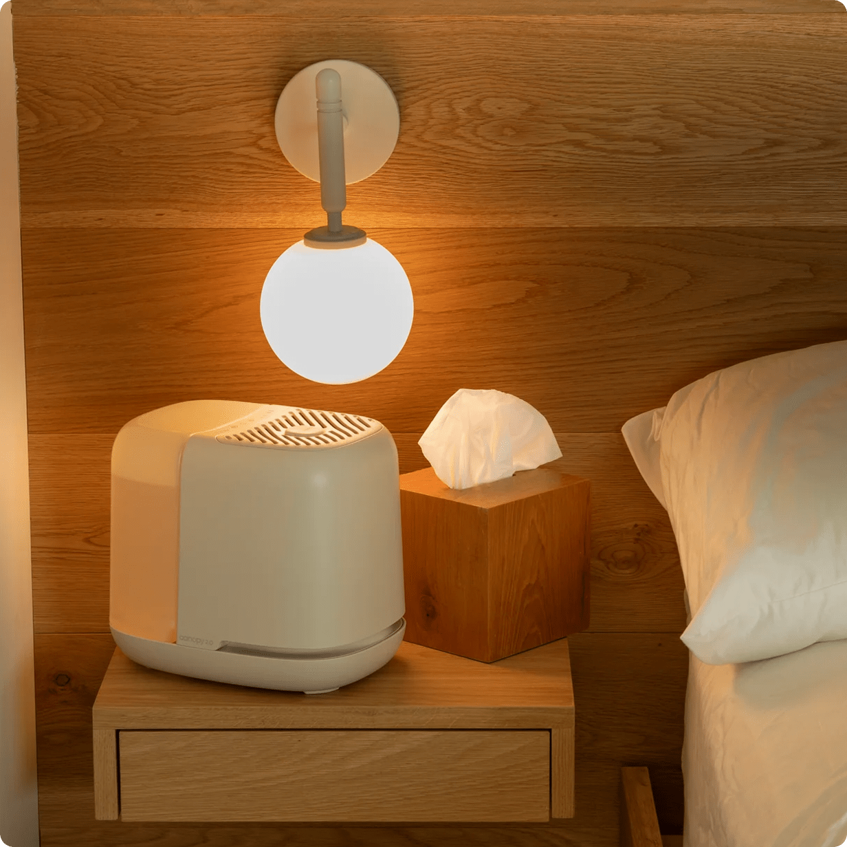 humidifier lifestyle