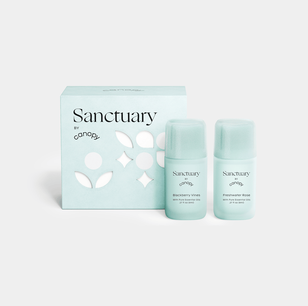 Aroma Kit Subscription | With Aroma Stones, With Felt Diffusers