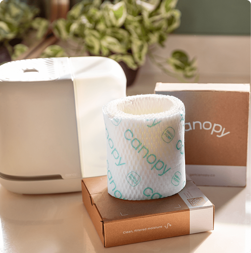 Bedside Humidifier Filter 2.0 