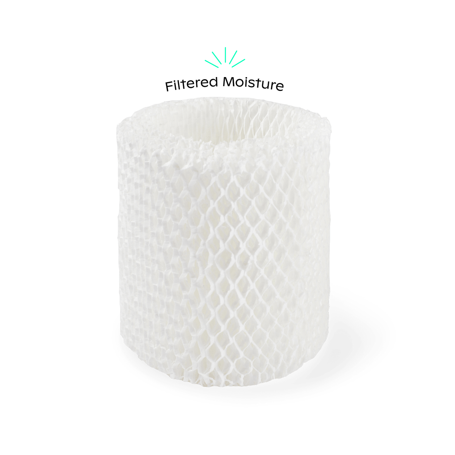 Humidifier Replacement Filter
